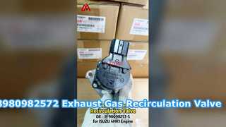 8-98098257-2 8980982572 Van tuần hoàn khí thải Thích hợp cho ISUZU FCR NPR75 4HK1
